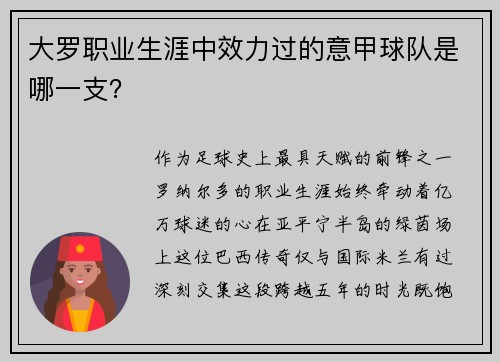 大罗职业生涯中效力过的意甲球队是哪一支？